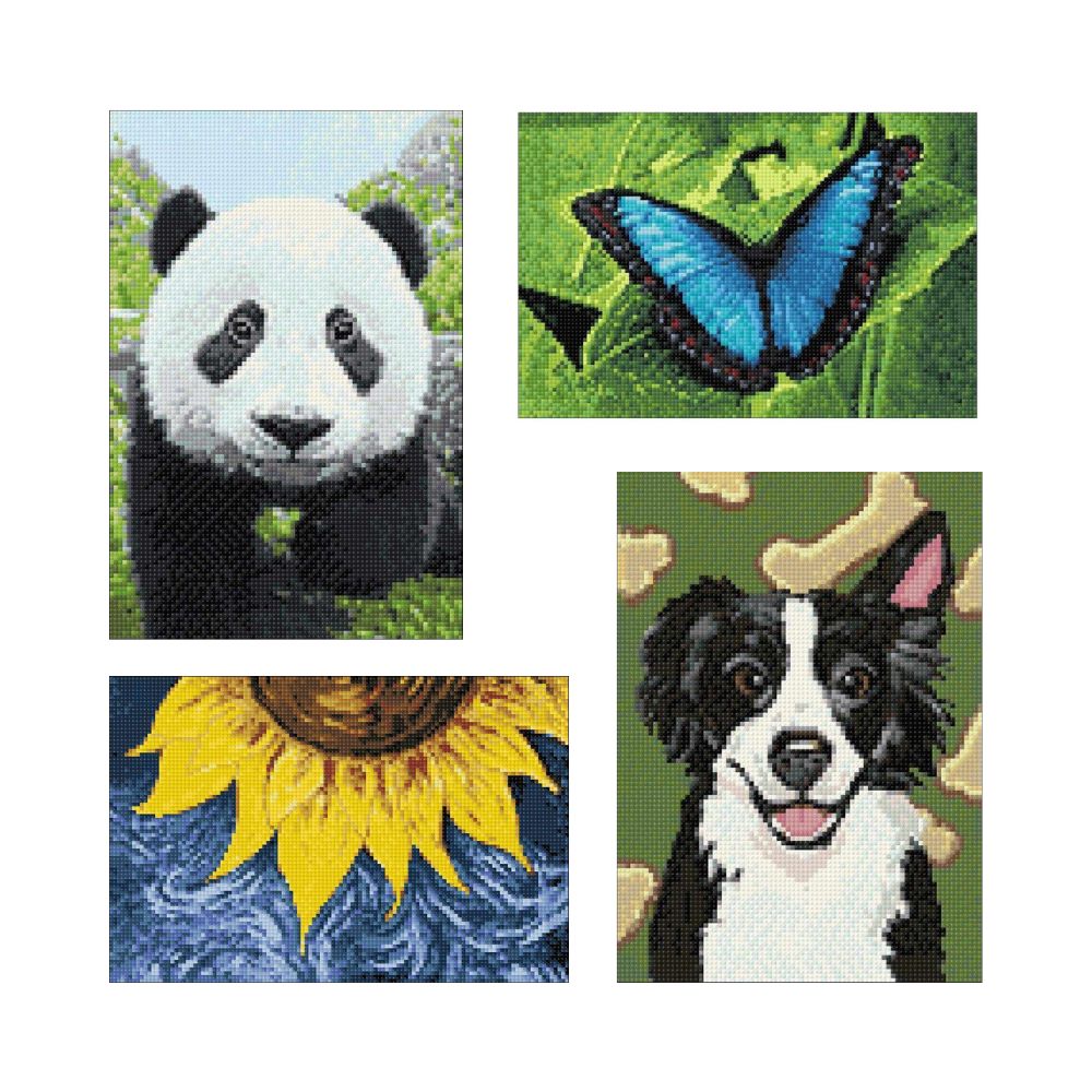 Border Collie Dog - Diamond Painting Kit