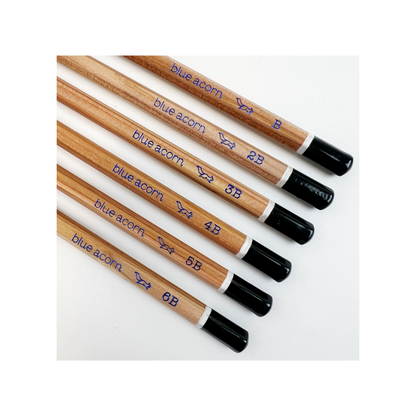 Blue Acorn Artists' Sketching Pencils (set of 6 in box)