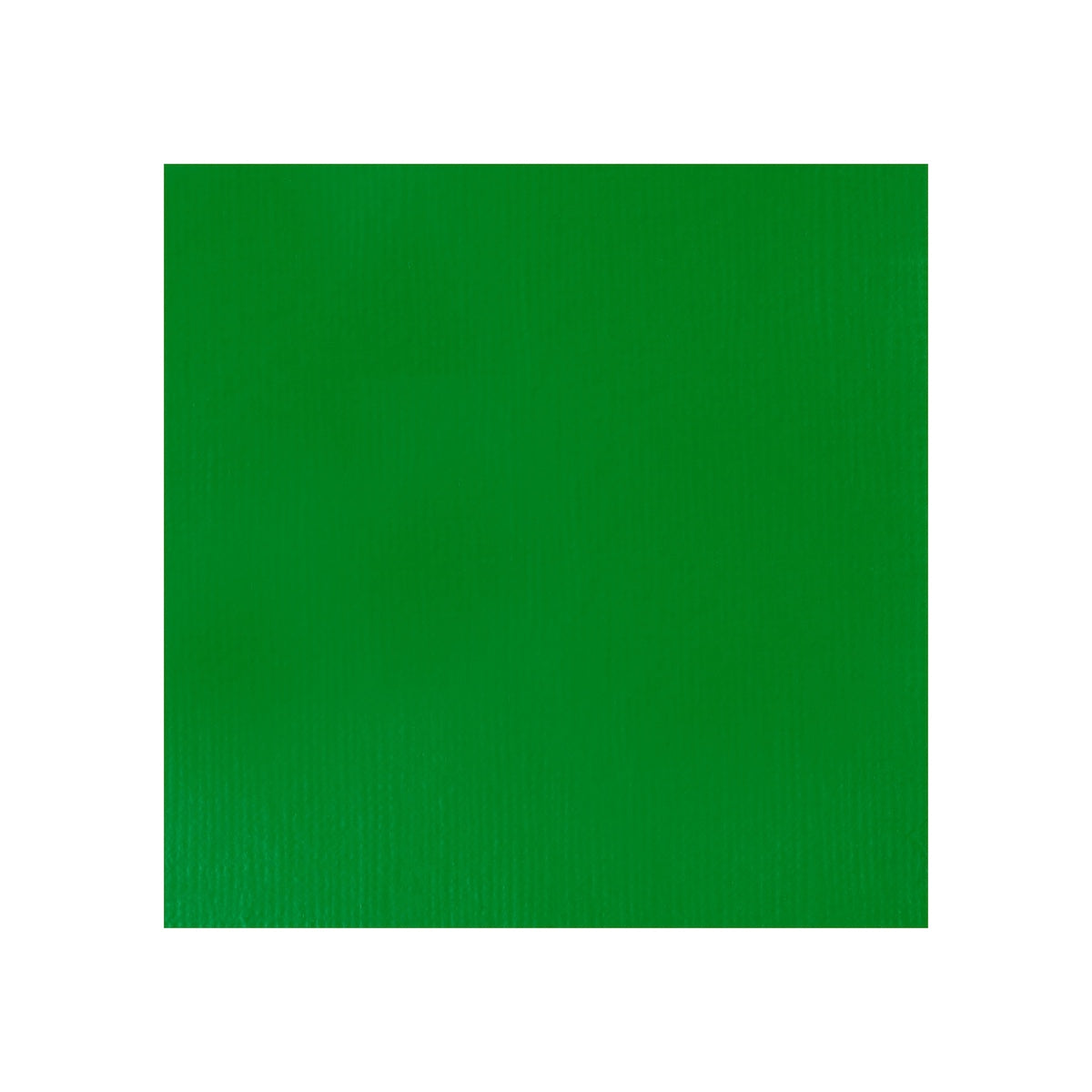 Liquitex Professional Heavy Body Acrylic 59ml - Permanent Light Green