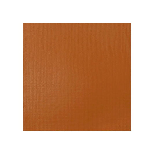 Liquitex Professional Heavy Body Acrylic 59ml - Raw Sienna