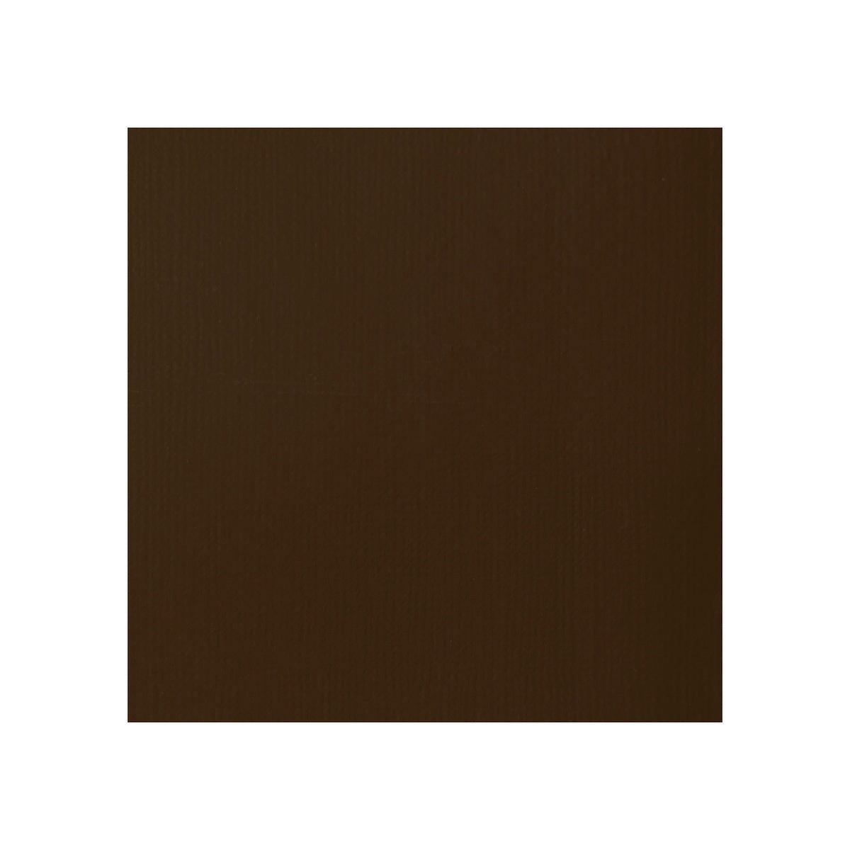 Liquitex Professional Heavy Body Acrylic 59ml - Raw Umber