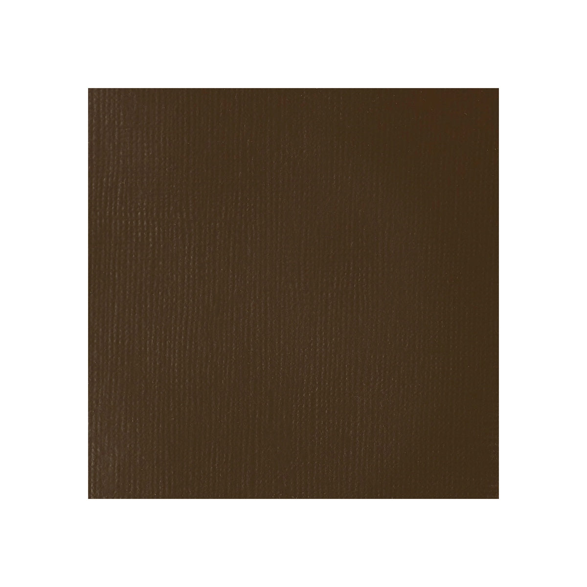 Liquitex Professional Heavy Body Acrylic 59ml - Transparent Raw Umber