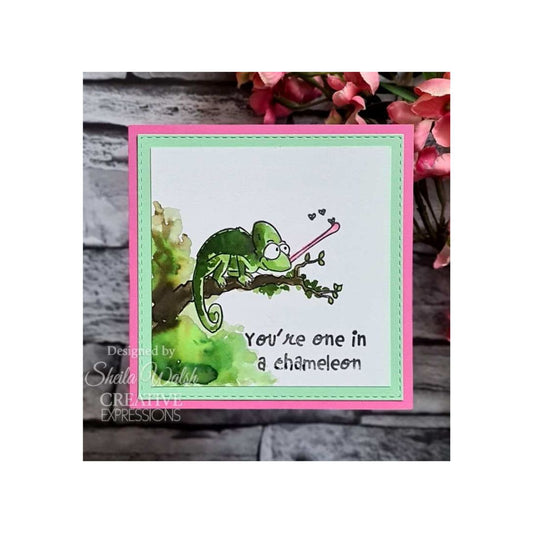 One In a Chameleon 6 in x 8 in Clear Stamp Set