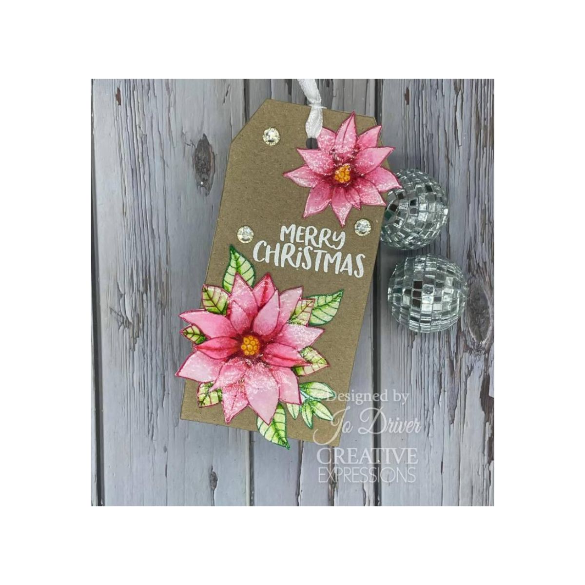 Jane's Doodles Poinsettia Clear Stamp Set