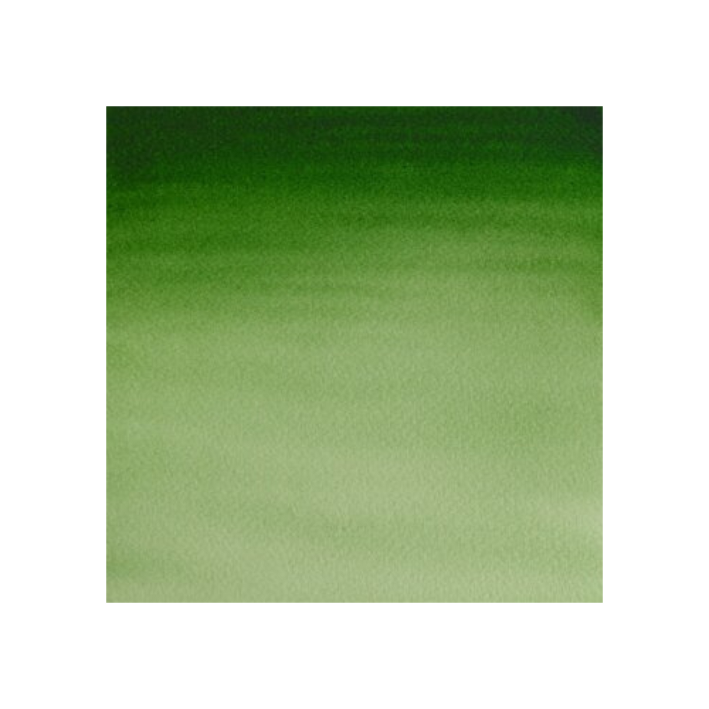Winsor & Newton Cotman watercolour 8ml - Hookers Green Light