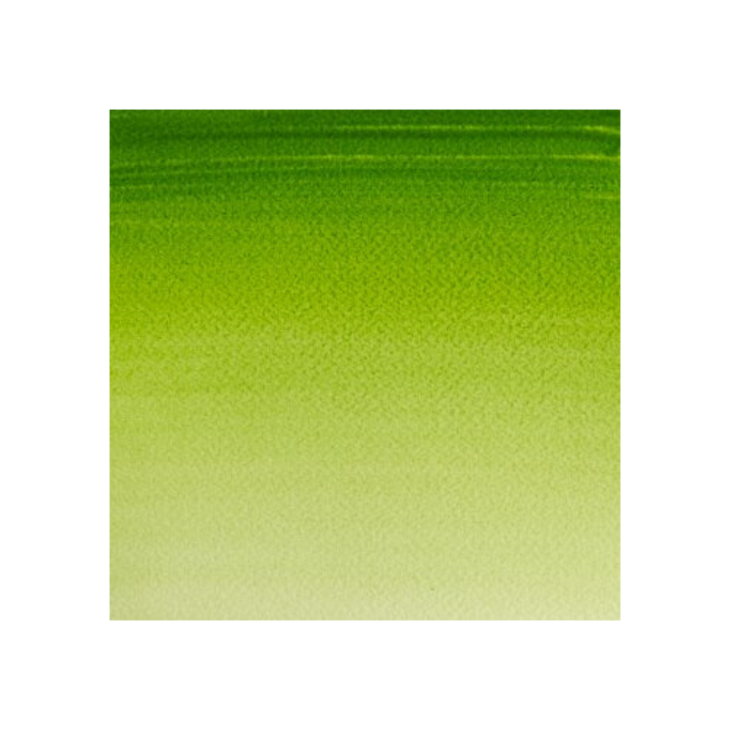 Winsor & Newton Cotman watercolour 21ml - Sap Green