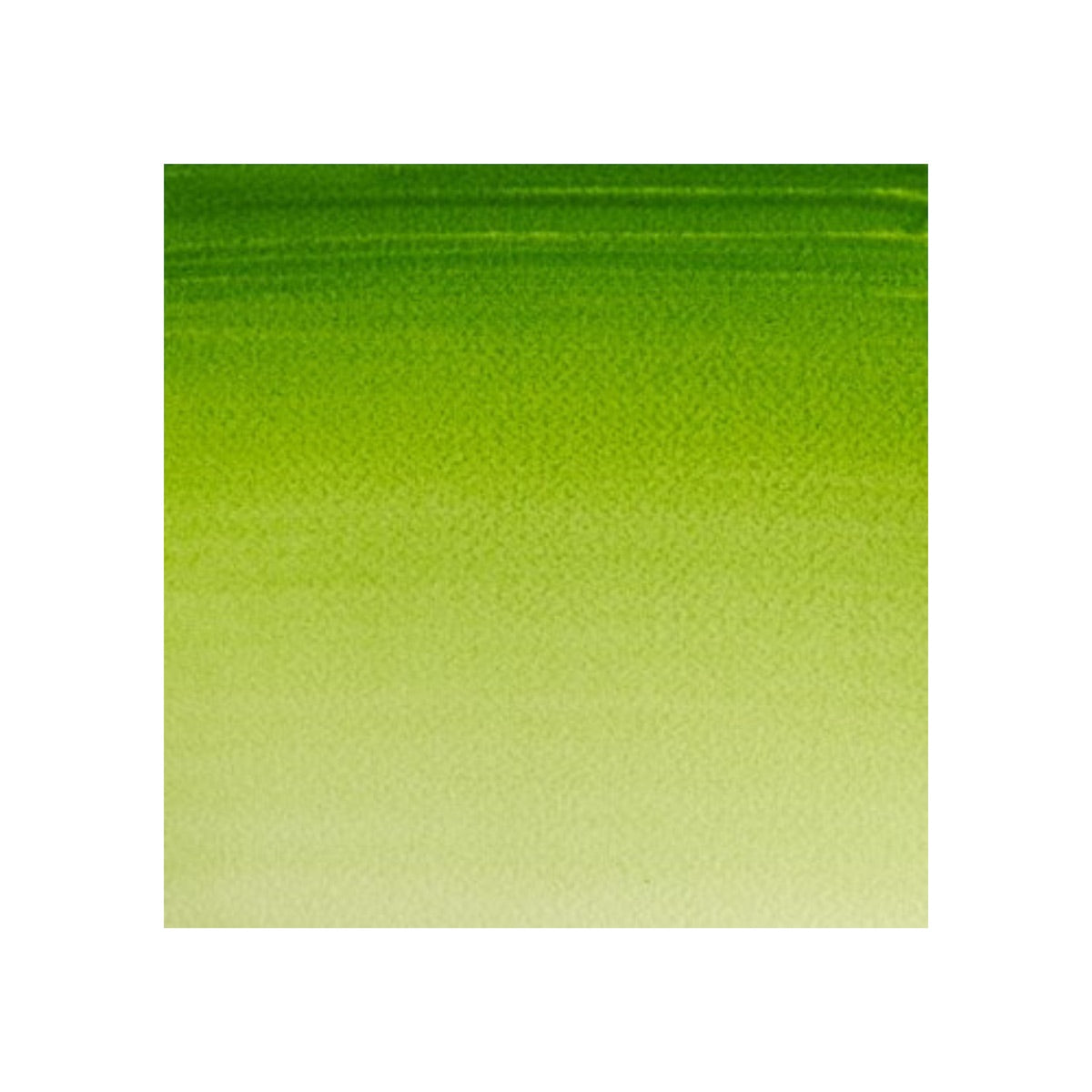 Winsor & Newton Cotman watercolour 8ml - Sap Green