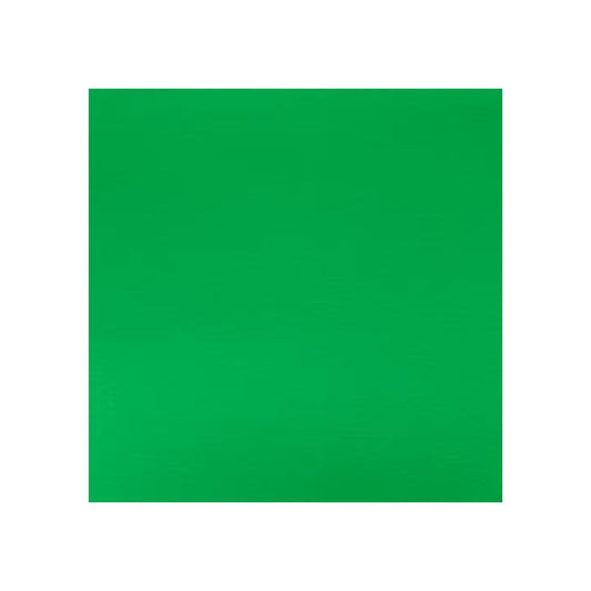 Winsor & Newton Designers Gouache 14ml - Permanent Green Light