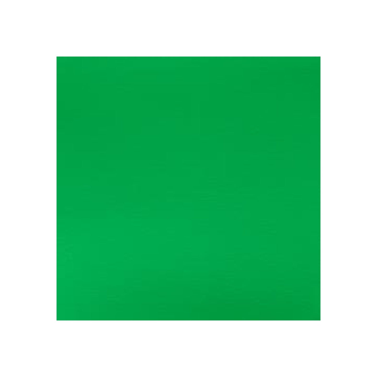 Winsor & Newton Designers Gouache 14ml - Permanent Green Light