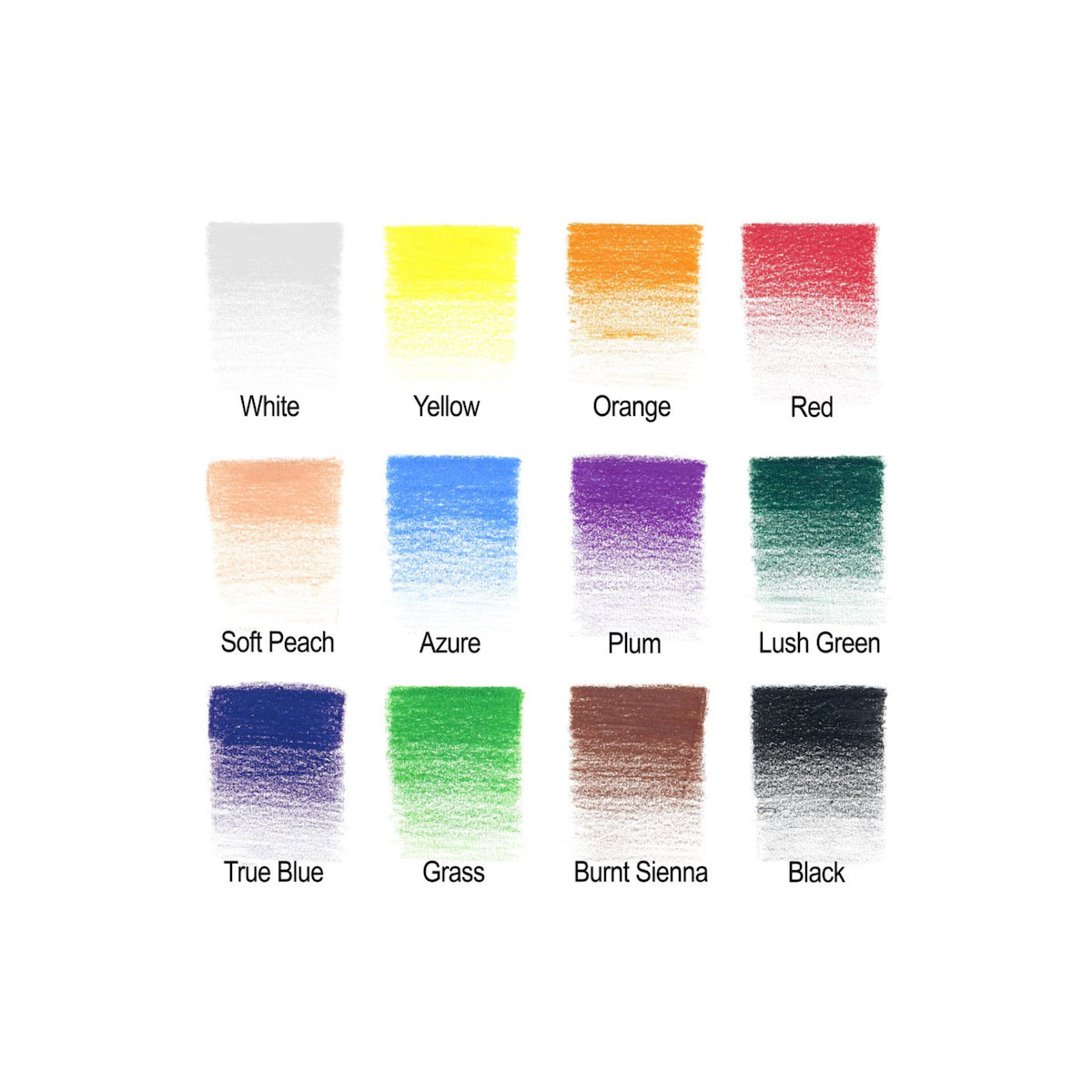 Winsor & Newton Studio Collection Colour Pencils (set of 12 in metal tin)