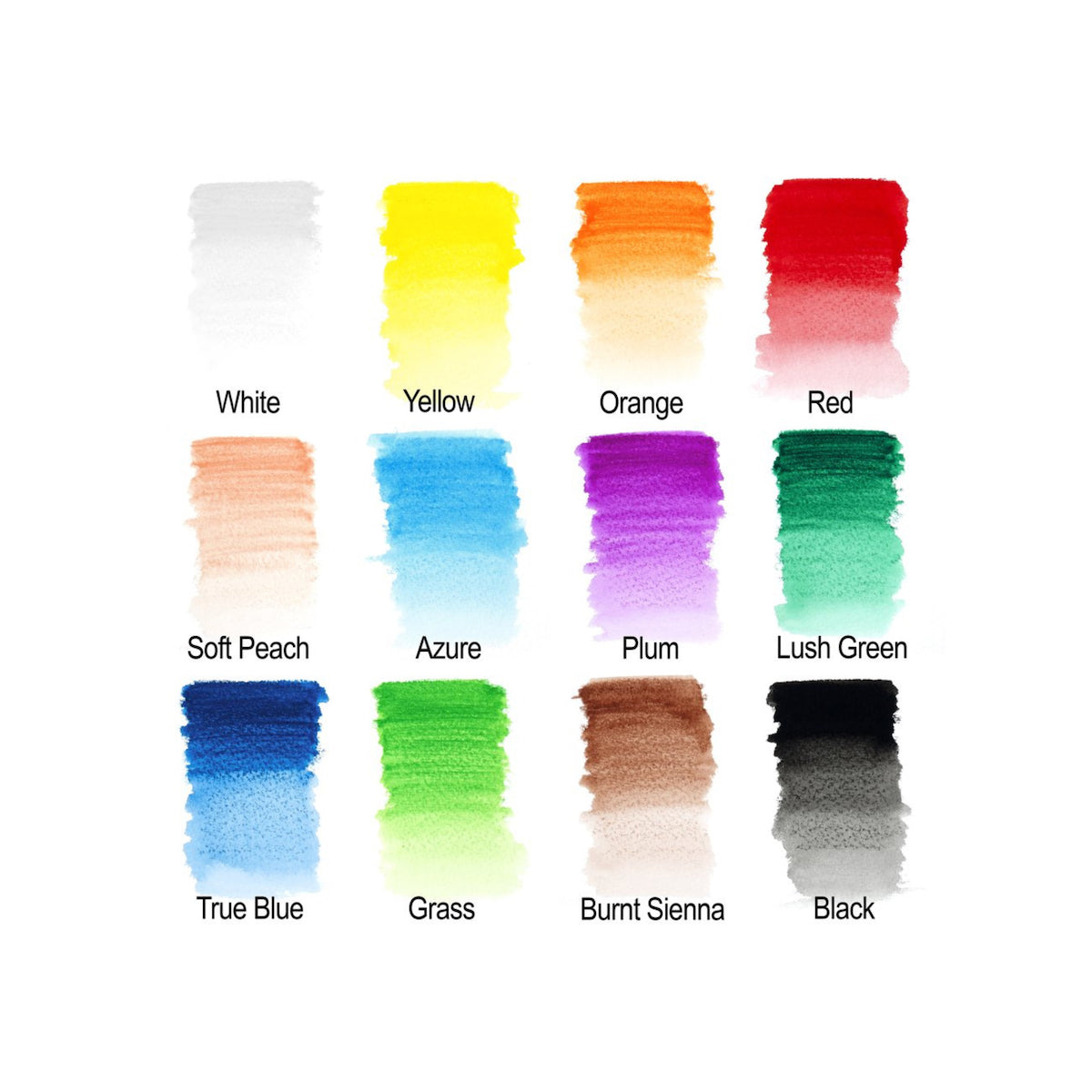 Winsor & Newton Studio Collection Watercolour Pencils (set of 12 in metal tin)