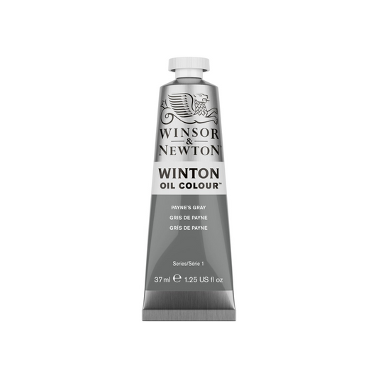 Winsor & Newton Winton Oil 37ml - Paynes Gray