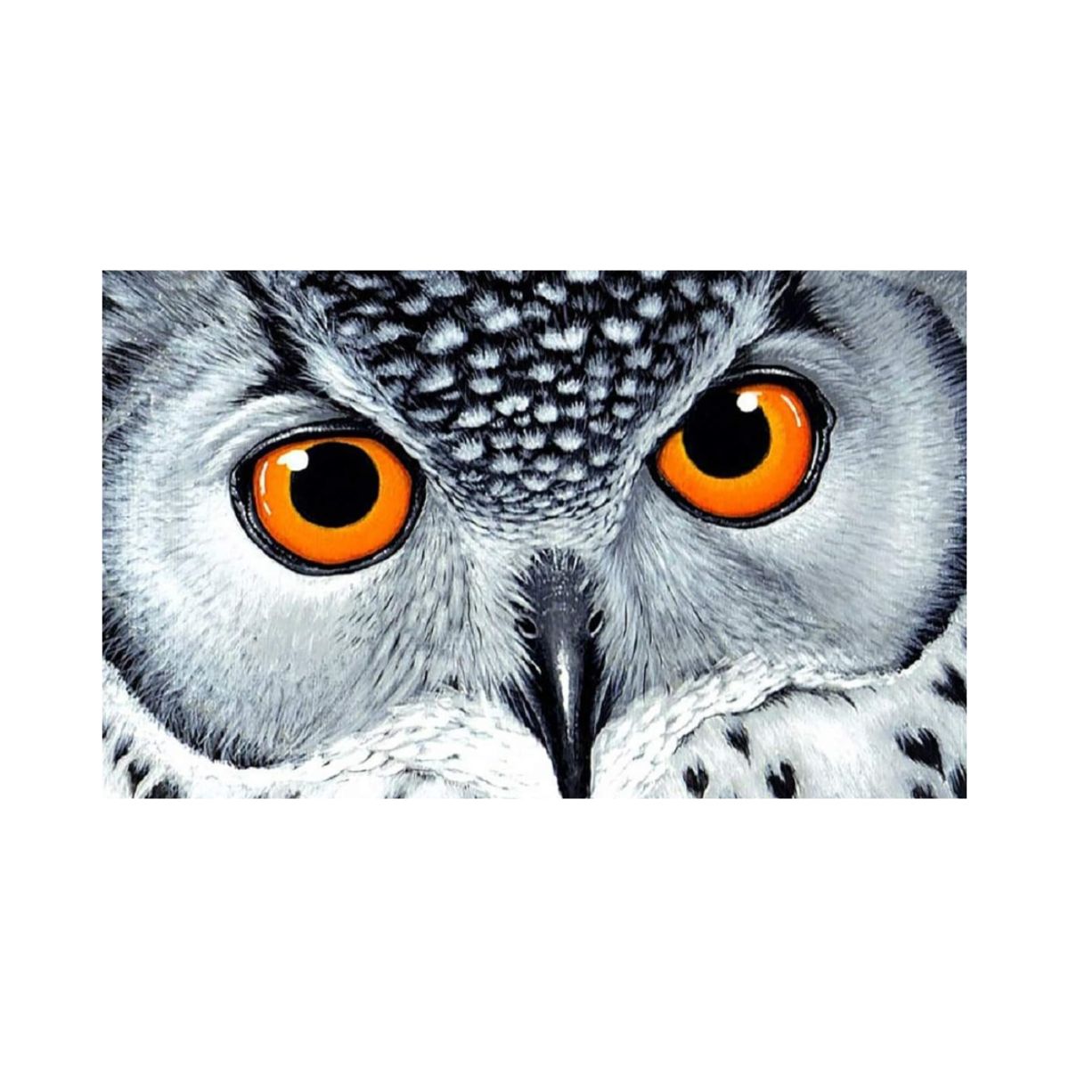 Wizardi Diamond art Owl's Look