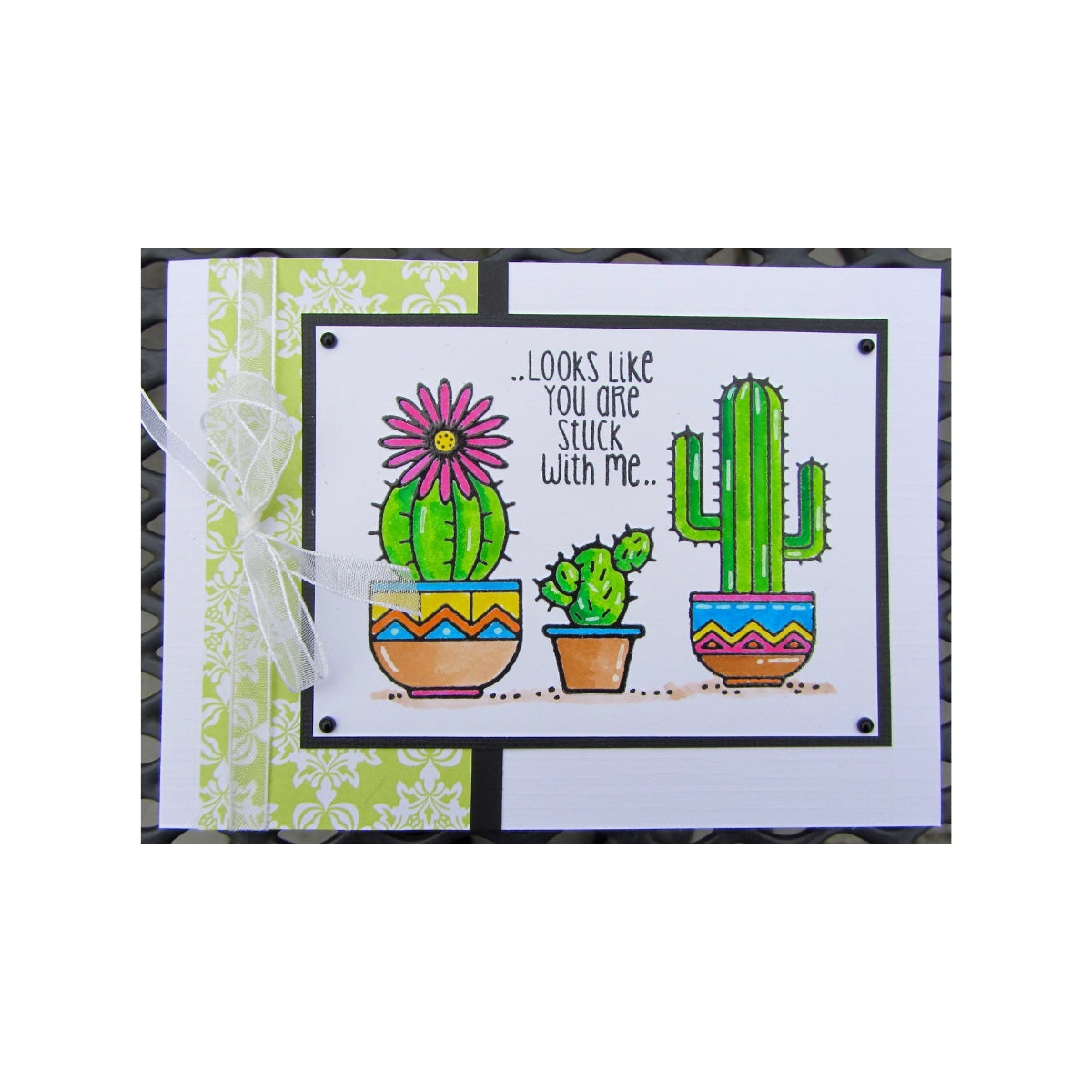 Card with cactus illustrations and text on a white background