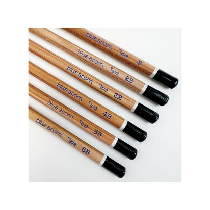 Blue Acorn Artists' Sketching Pencils (set of 6 in box)