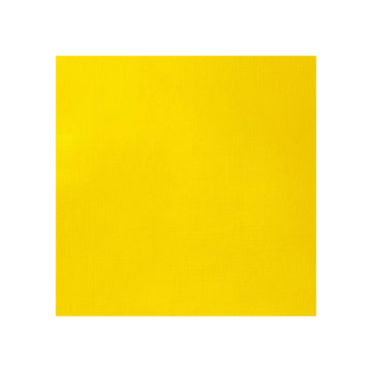 Cadmium yellow medium colour swatch for Liquitex Professional Heavy Body Acrylic
