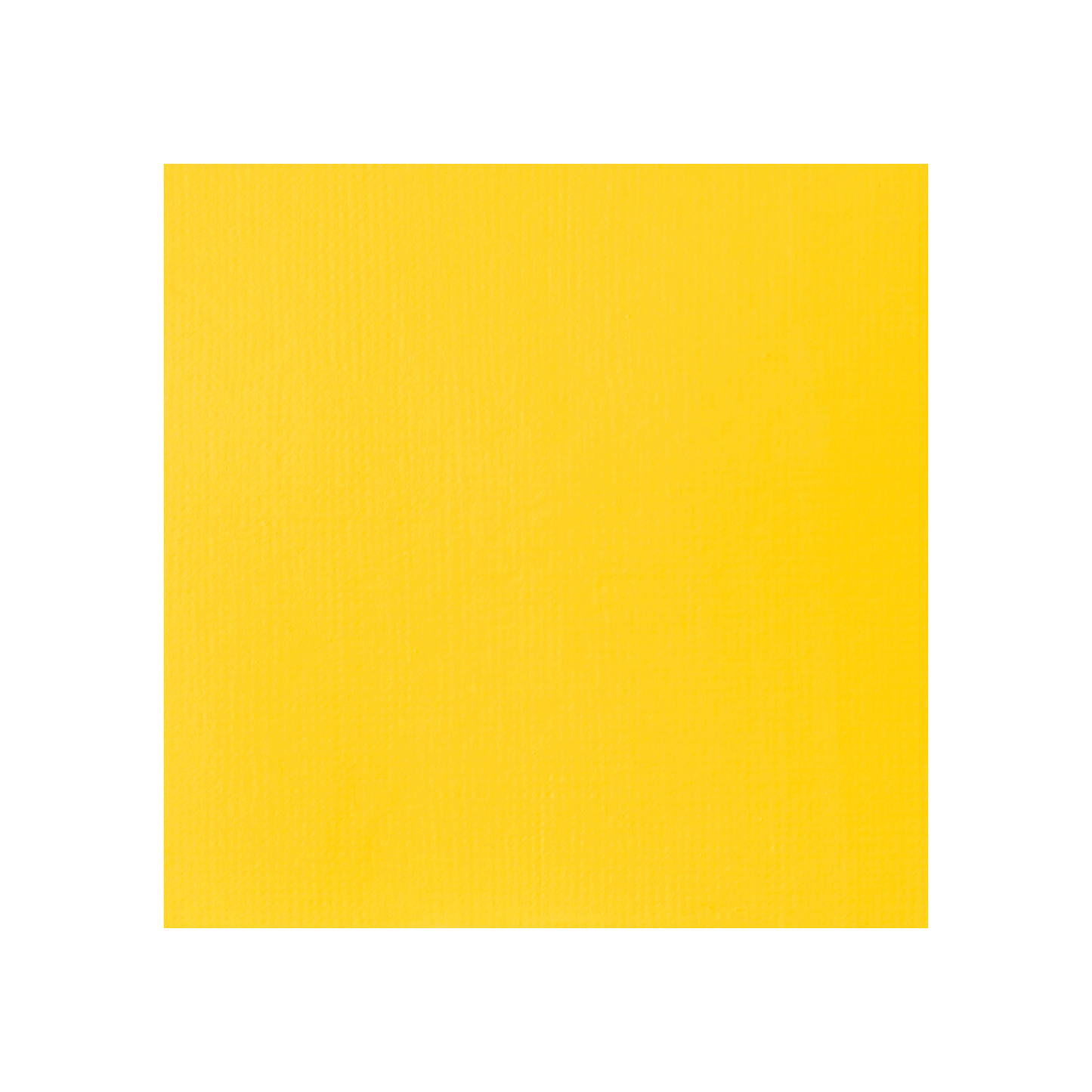 Liquitex Professional Heavy Body Acrylic 59ml - Yellow Light Hansa