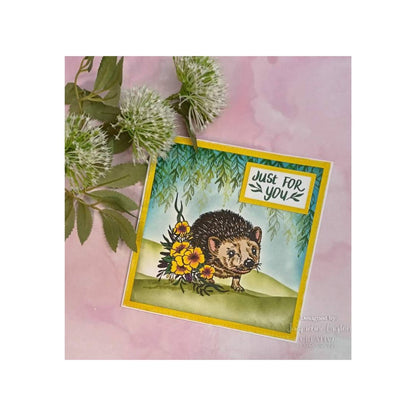 Designer Boutique Over the Hedge Hedgehog Clear Stamp Set