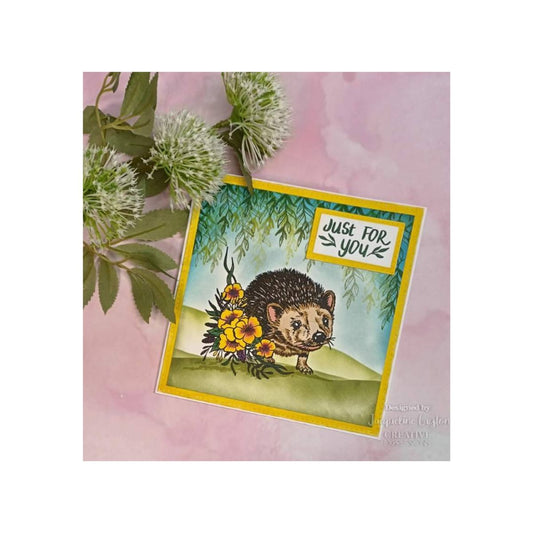 Designer Boutique Over the Hedge Hedgehog Clear Stamp Set