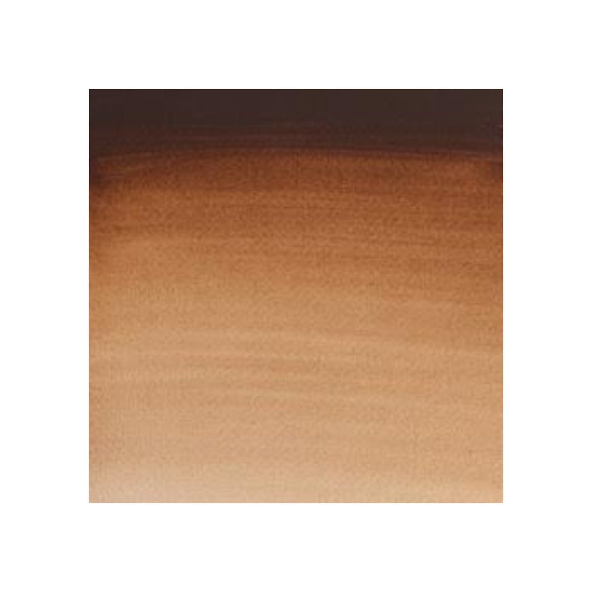 Winsor & Newton Cotman watercolour 21ml - Burnt Umber