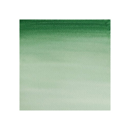 Winsor & Newton Cotman watercolour 21ml - Hookers Green Dark