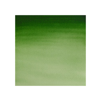 Winsor & Newton Cotman watercolour 21ml - Hookers Green Light