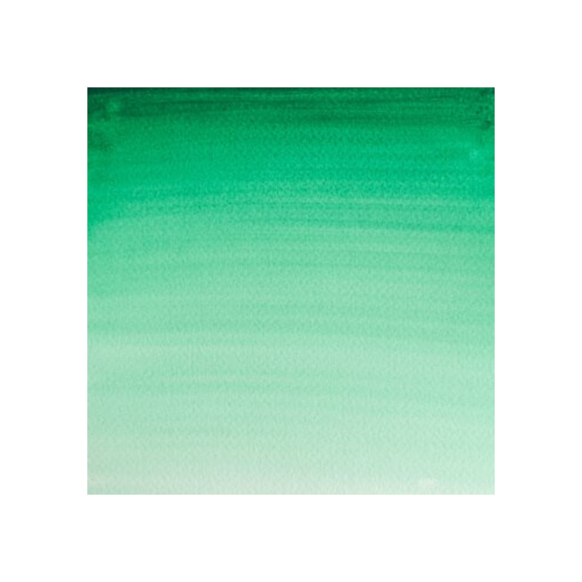 Winsor & Newton Cotman watercolour 21ml - Intense Green