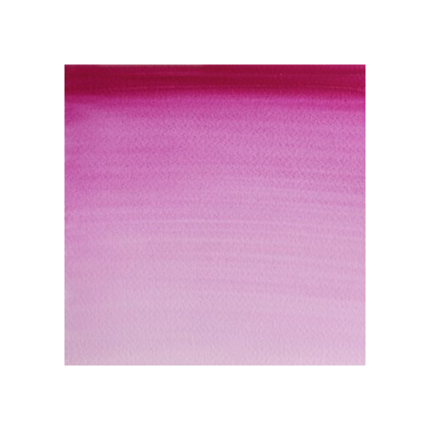 Winsor & Newton Cotman watercolour 8ml - Purple Lake