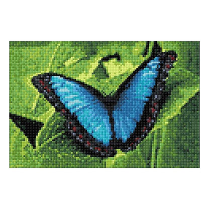 Blue Morpho Butterfly Diamond Painting Kit