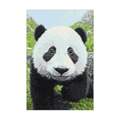 Curious Panda Diamond Painting Kit