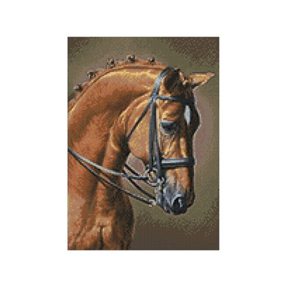 Horse Jumping Diamond Painting Kit