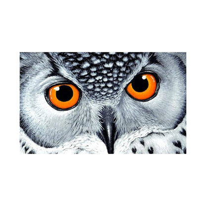 Wizardi Diamond art Owl's Look