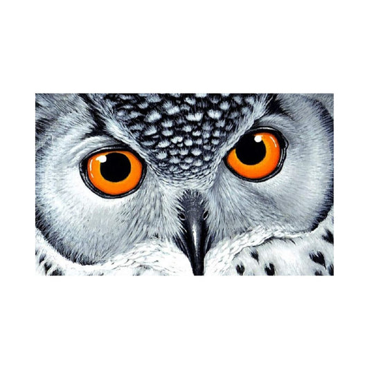 Wizardi Diamond art Owl's Look